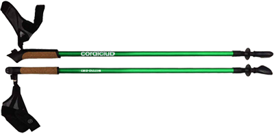 Nordic walking poles